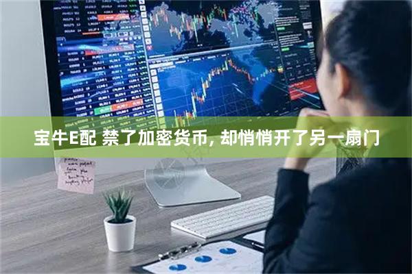 宝牛E配 禁了加密货币, 却悄悄开了另一扇门