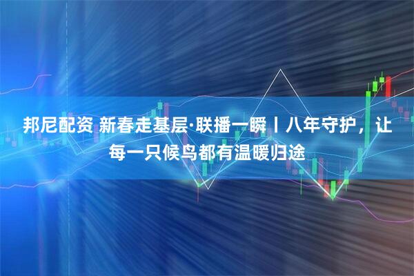 邦尼配资 新春走基层·联播一瞬丨八年守护，让每一只候鸟都有温暖归途