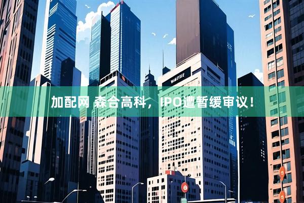 加配网 森合高科，IPO遭暂缓审议！