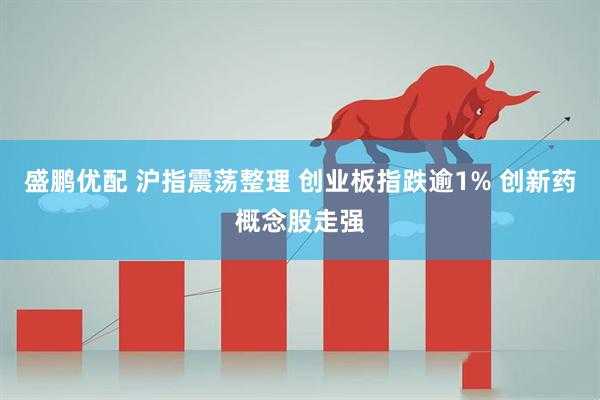 盛鹏优配 沪指震荡整理 创业板指跌逾1% 创新药概念股走强