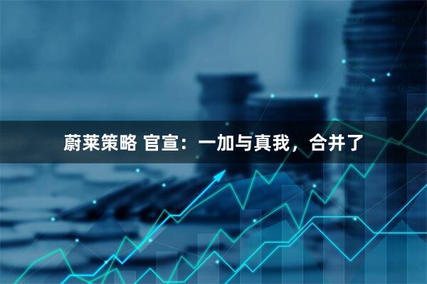 蔚莱策略 官宣：一加与真我，合并了