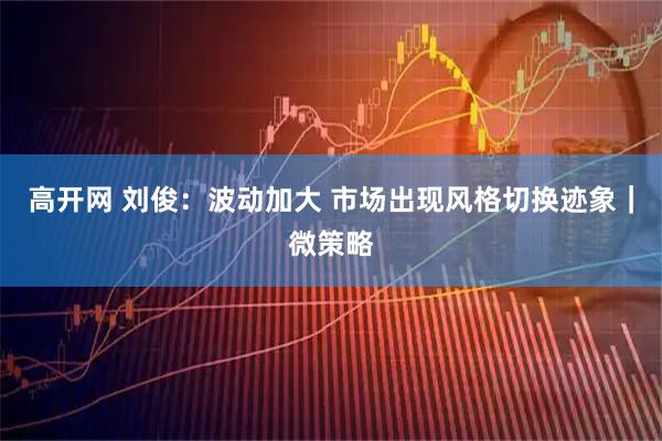 高开网 刘俊：波动加大 市场出现风格切换迹象｜微策略