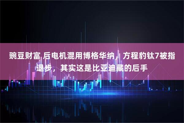 豌豆财富 后电机混用博格华纳，方程豹钛7被指退步，其实这是比亚迪藏的后手