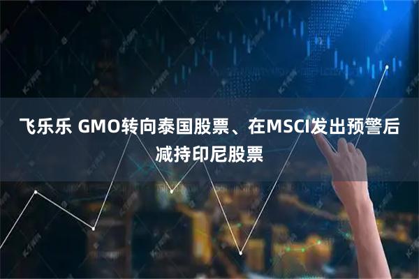 飞乐乐 GMO转向泰国股票、在MSCI发出预警后减持印尼股票