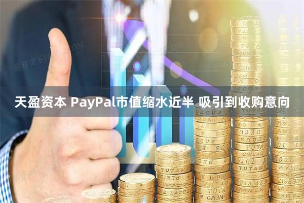 天盈资本 PayPal市值缩水近半 吸引到收购意向