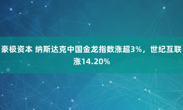 豪极资本 纳斯达克中国金龙指数涨超3%，世纪互联涨14.20%