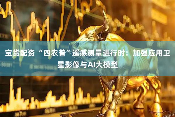 宝货配资 “四农普”遥感测量进行时：加强应用卫星影像与AI大模型