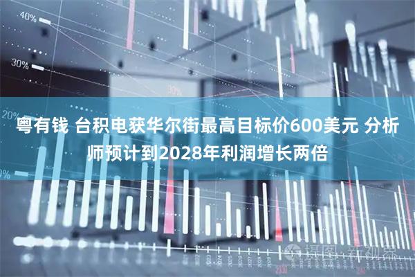 粤有钱 台积电获华尔街最高目标价600美元 分析师预计到2028年利润增长两倍