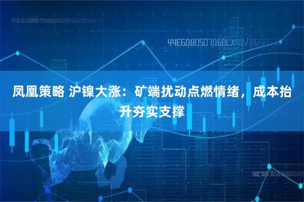 凤凰策略 沪镍大涨：矿端扰动点燃情绪，成本抬升夯实支撑