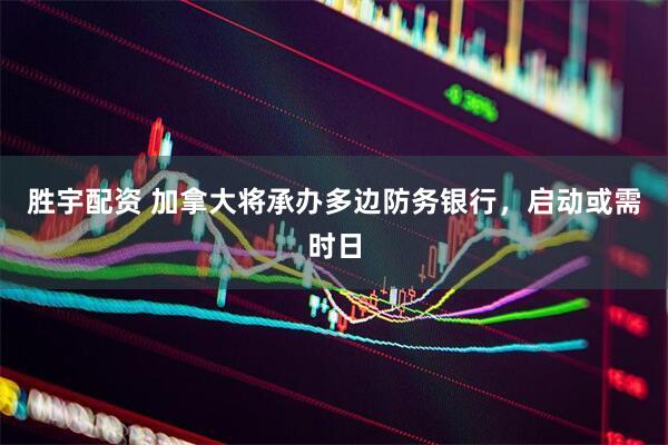 胜宇配资 加拿大将承办多边防务银行,启动或需时日