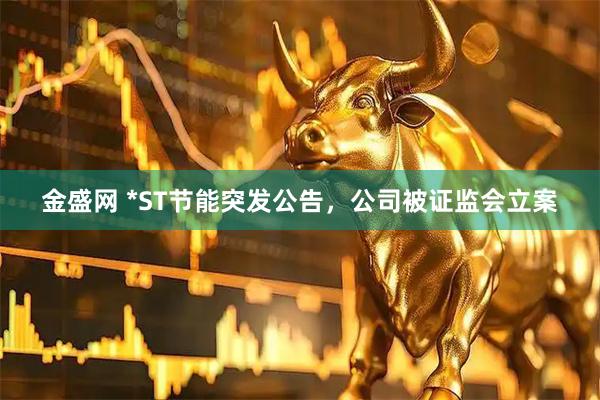 金盛网 *ST节能突发公告，公司被证监会立案