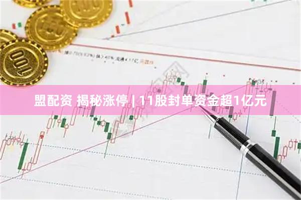 盟配资 揭秘涨停 | 11股封单资金超1亿元