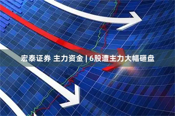 宏泰证券 主力资金 | 6股遭主力大幅砸盘