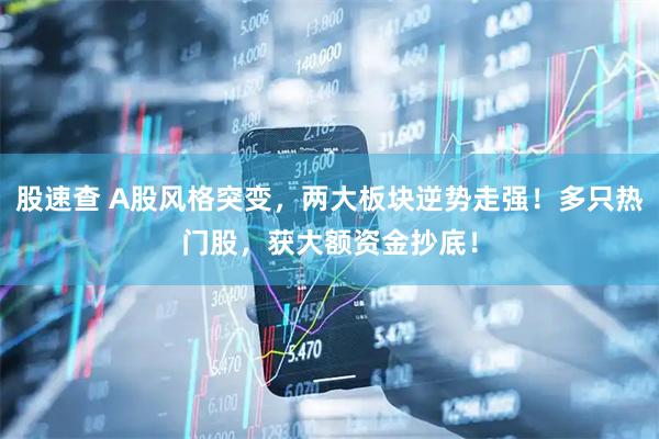 股速查 A股风格突变，两大板块逆势走强！多只热门股，获大额资金抄底！