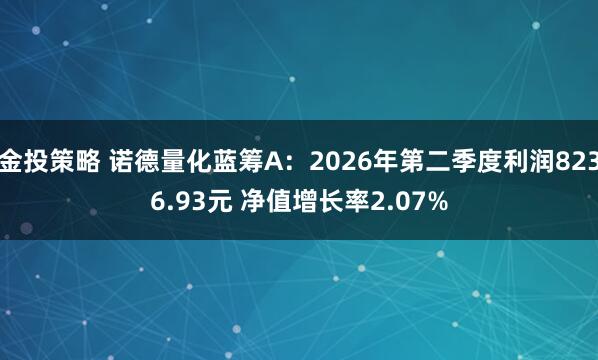 金投策略 诺德量化蓝筹A：2026年第二季度利润8236.93元 净值增长率2.07%